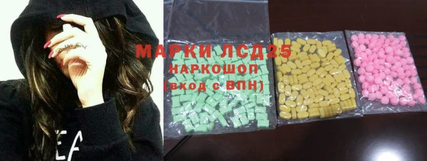 ПСИЛОЦИБИНОВЫЕ ГРИБЫ Гусев