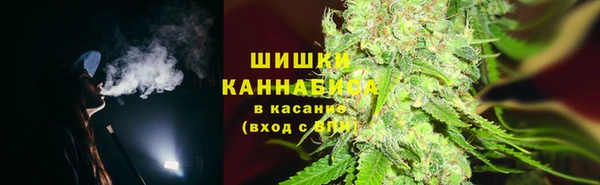 spice Гусиноозёрск