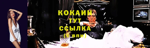 spice Гусиноозёрск