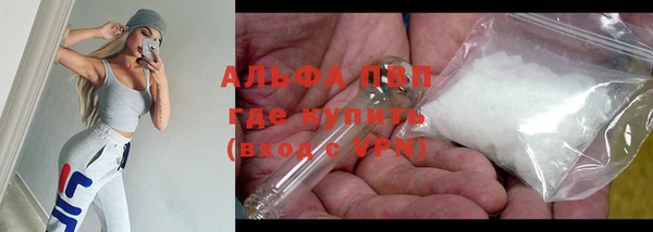 ПСИЛОЦИБИНОВЫЕ ГРИБЫ Гусев
