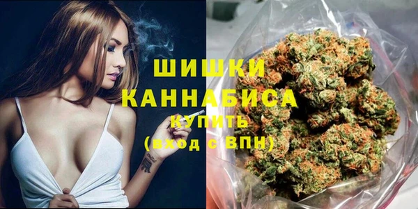 ПСИЛОЦИБИНОВЫЕ ГРИБЫ Гусев