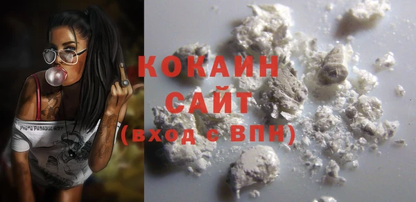 ПСИЛОЦИБИНОВЫЕ ГРИБЫ Гусев