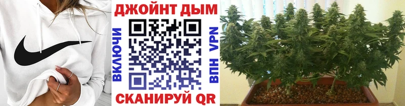 Бошки марихуана план  Купить  Жуков 
